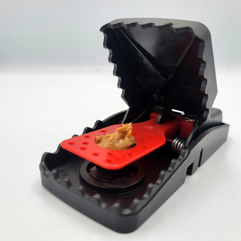 Tapette à souris KOMODO avec beurre de cacahuètes comme appât
