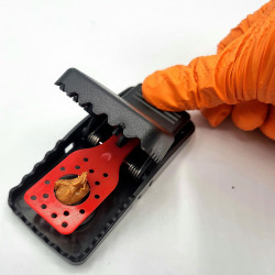 Armement sécurisé de la tapette à souris KOMODO