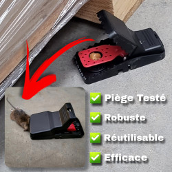 Une souris attrapée par un piège à mâchoires KOMODO