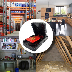 Le piège à mâchoires anti souris KOMODO peut être utilisé dans divers endroits