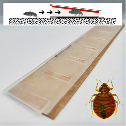 Piège de détection professionnel anti punaise de lit CIMEXCATCH®