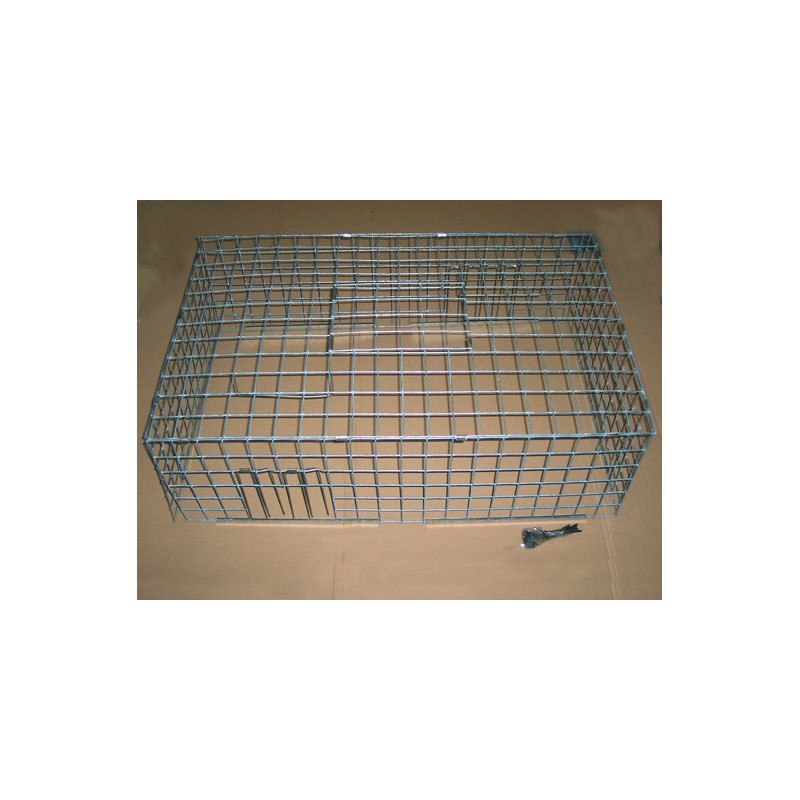 Cage à pigeons multi-capture