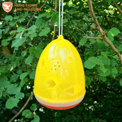 Piège à guêpe et frelon VESPA TRAP