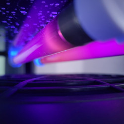 Lampe LED piège à moustique FLORIDA