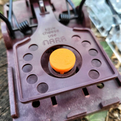 Appât NARA LURE arôme poisson dans son emplacement sur une tapette à rat Gorilla Traps