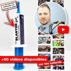 Le gel Blantor anti cafard et blattes est testé sur le terrain