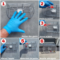 Mode d'emploi : nasse à musaraignes mulitprise