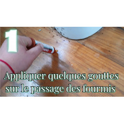 Application du gel anti fourmi sur le passage des insectes