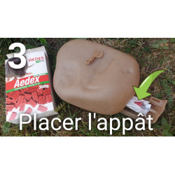 Placer le raticide dans la boîte