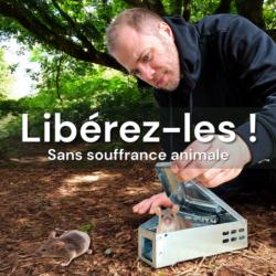 Piège souris & mulots multicapture : libération des souris