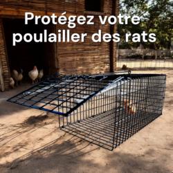 Utilisation idéale en poulailler