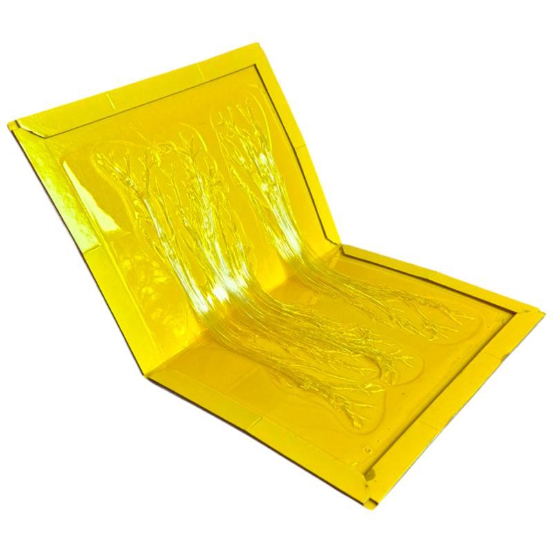 Plaque de glu collante pour rongeurs