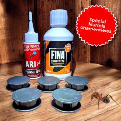 Pack traitement fourmis charpentières