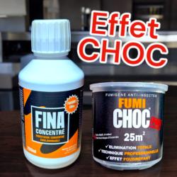 Action choc du FINA et du FUMICHOC cafard vendus dans le pack anti cafard & blatte ÉRADICATION MAX