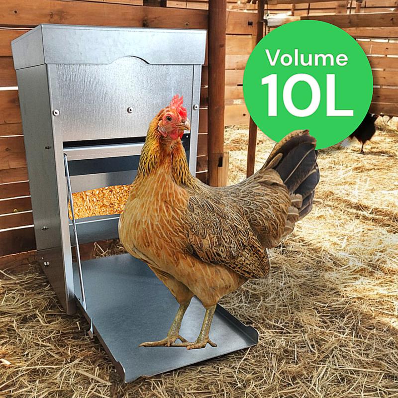 Mangeoire à trémie anti nuisibles