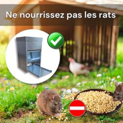 Mangeoire à trémie anti nuisibles : Ne nourrissez pas les rongeurs