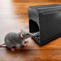 Piège à rats & souris électrique pour rats et souris