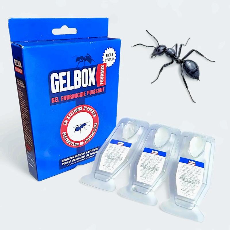 GELBOX fourmis, boîte appât gel destructrice de colonie et fourmilière