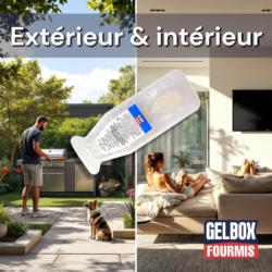 Gelbox fourmis : utilisable en extérieur et intérieur