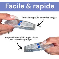 Gelbox fourmis : usage simple et rapide