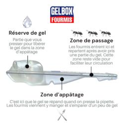 GELBOX Fourmis : Composition des différentes parties