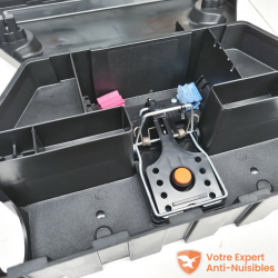 La vue ouverte du piège à rat sécurisé révèle l'emplacement de la tapette incluse avec l'achat de la boîte.