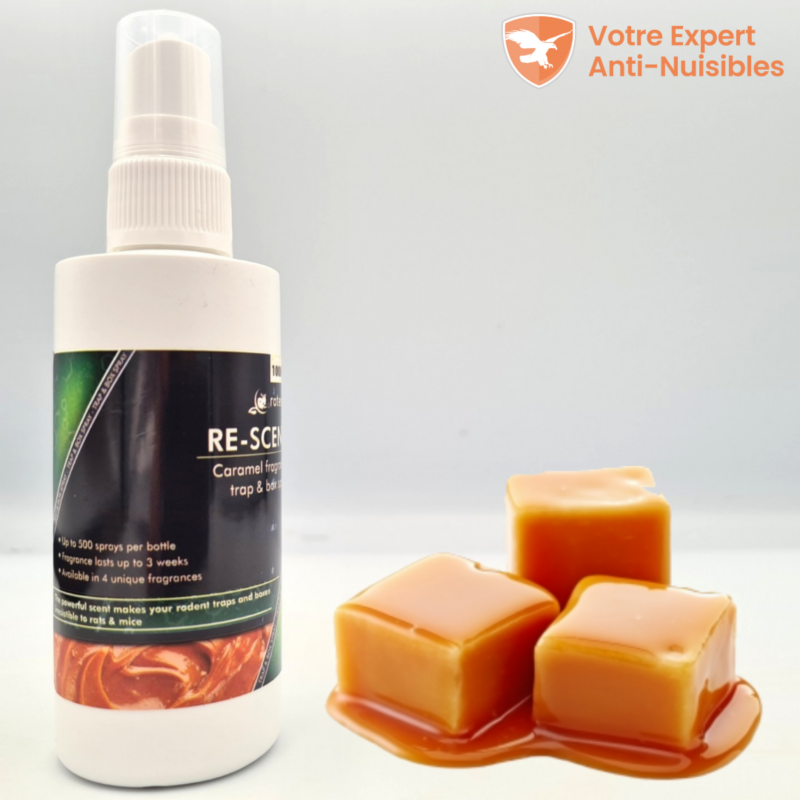 Rotech Re-Scent®, attractif pour rat & souris, arôme caramel.
