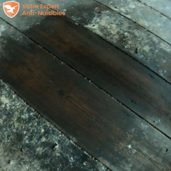 Appliquez simplement Selcleaning sans trop frotter : voilà le résultat efficace sur un parquet en bois.