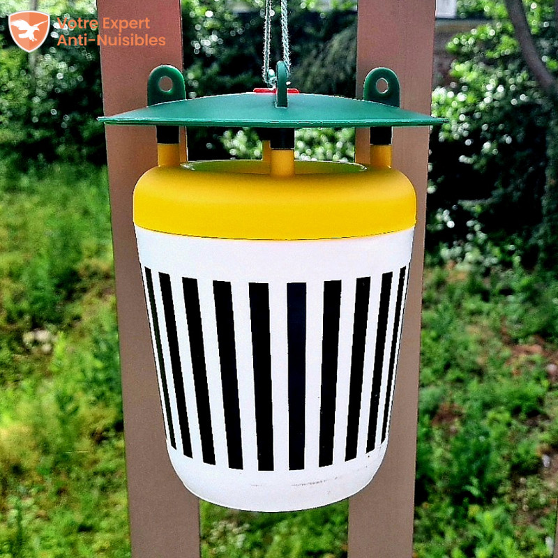 Piège professionnel à entonnoir anti mite alimentaire (100 m²)