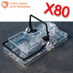 Lot de 80 tapettes à rat Gorilla Traps