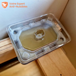 Piège DETECT anti punaise de lit placé sur une latte d'un sommier de lit.