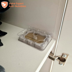 Piège DETECT anti punaise de lit placé dans un placard à vêtements.