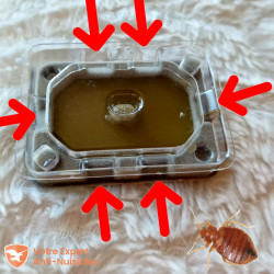 Piège à punaises de lit DETECT avec indication des 6 entrées.