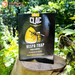 Piège à guêpes professionnel VESPA TRAP dans son emballage
