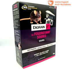 Boite appât souricide foudroyant digrain