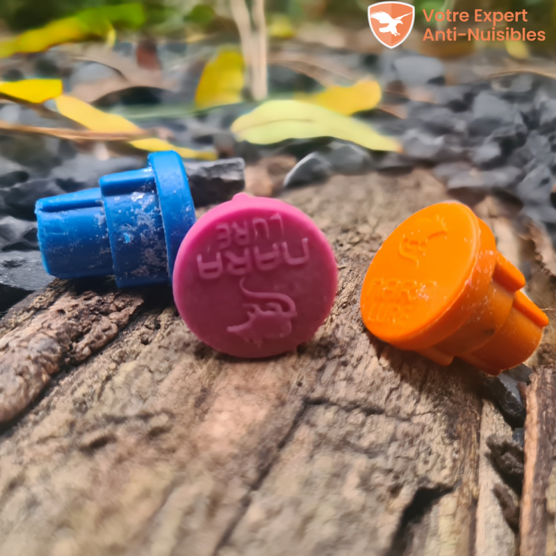 Appât pour rat et souris de marque NARA, vendus en lot de 3 (arômes vanille, viande et poisson).