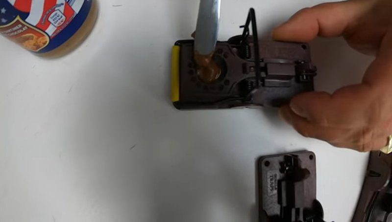 Application de la pâte à tartiner