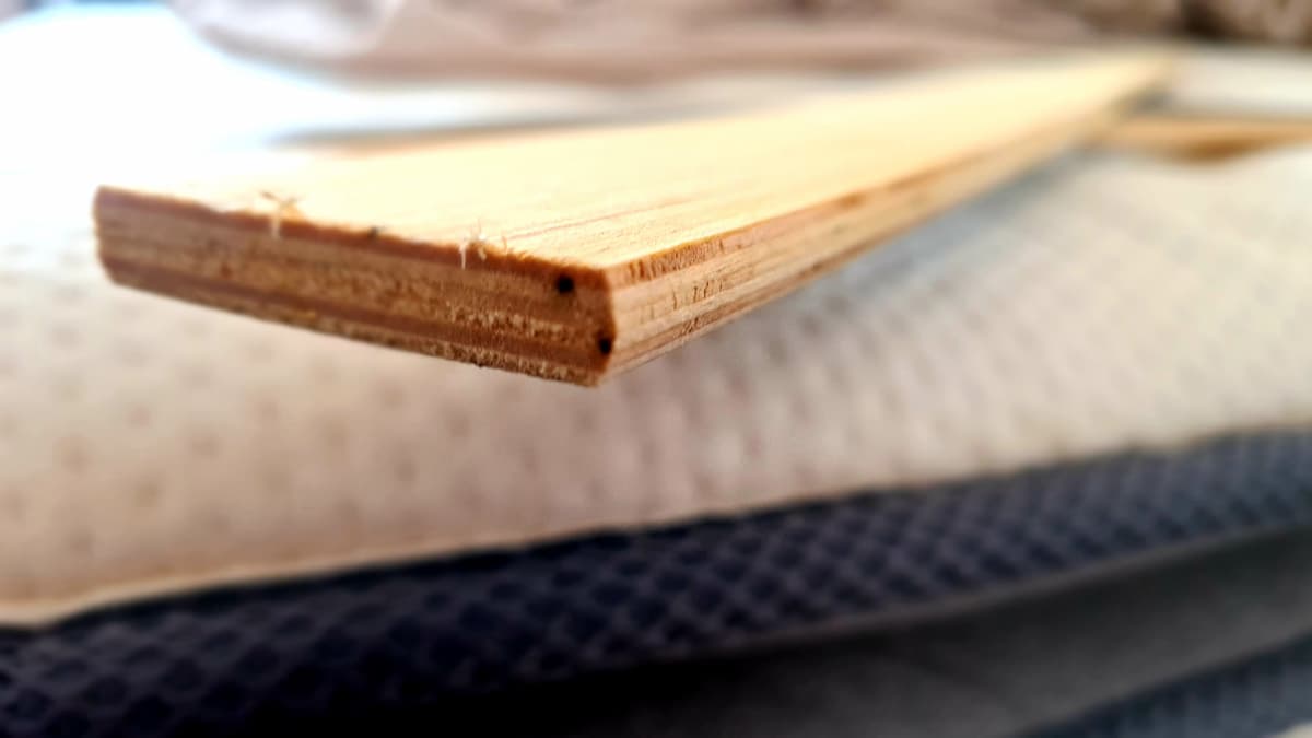 Points noirs, témoins d'excréments de punaises de lit sur une planchette de bois