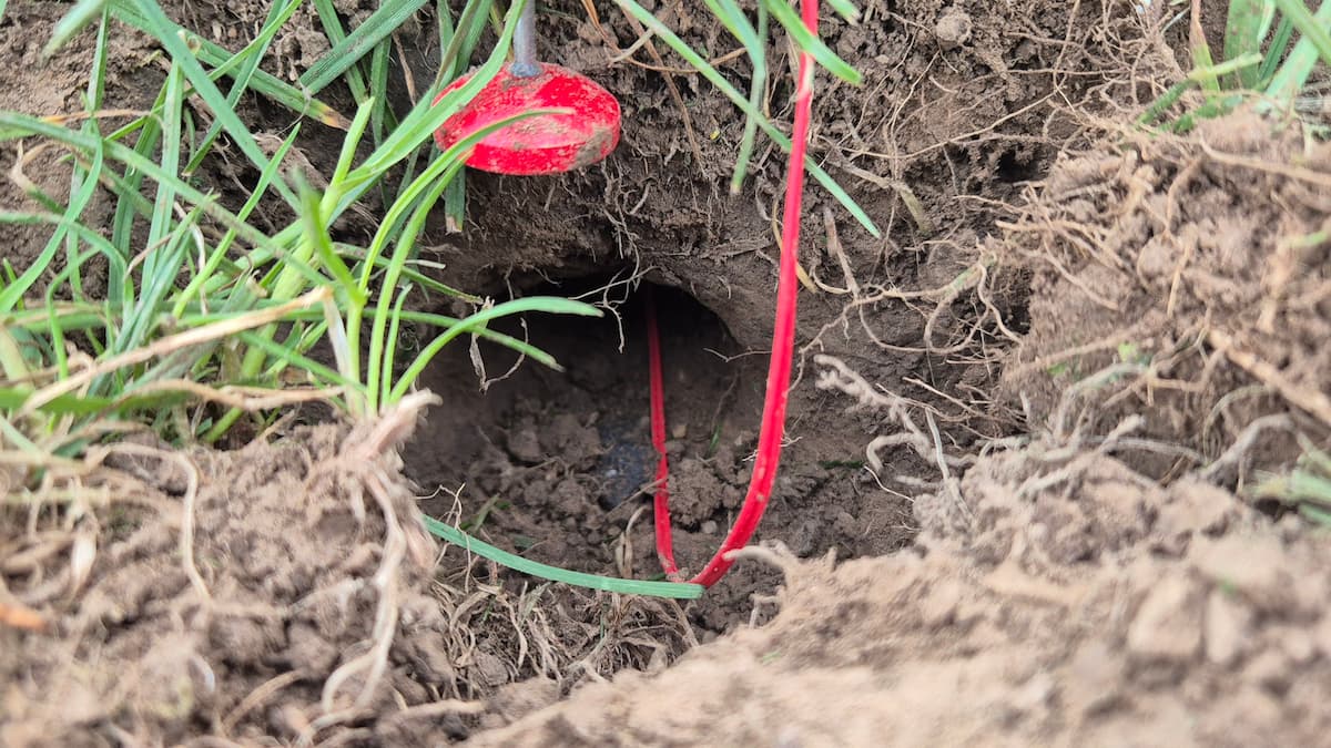 Palpeur du Détaupeur