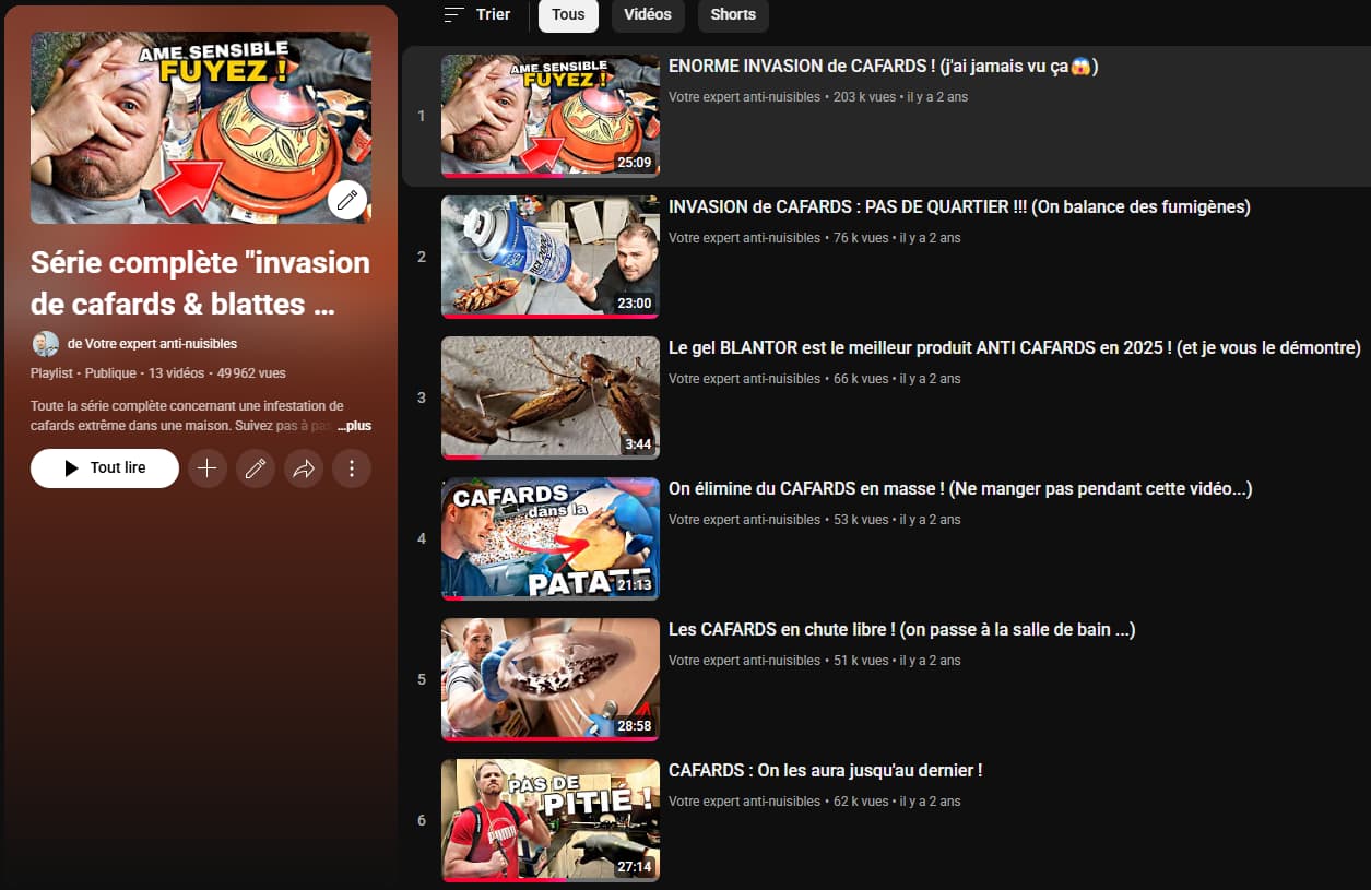 Playlist vidéo cafard blatte infestation extrême