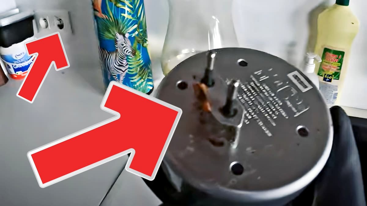 Verso d'un appareil à ultrason anti cafard révélant son inefficacité