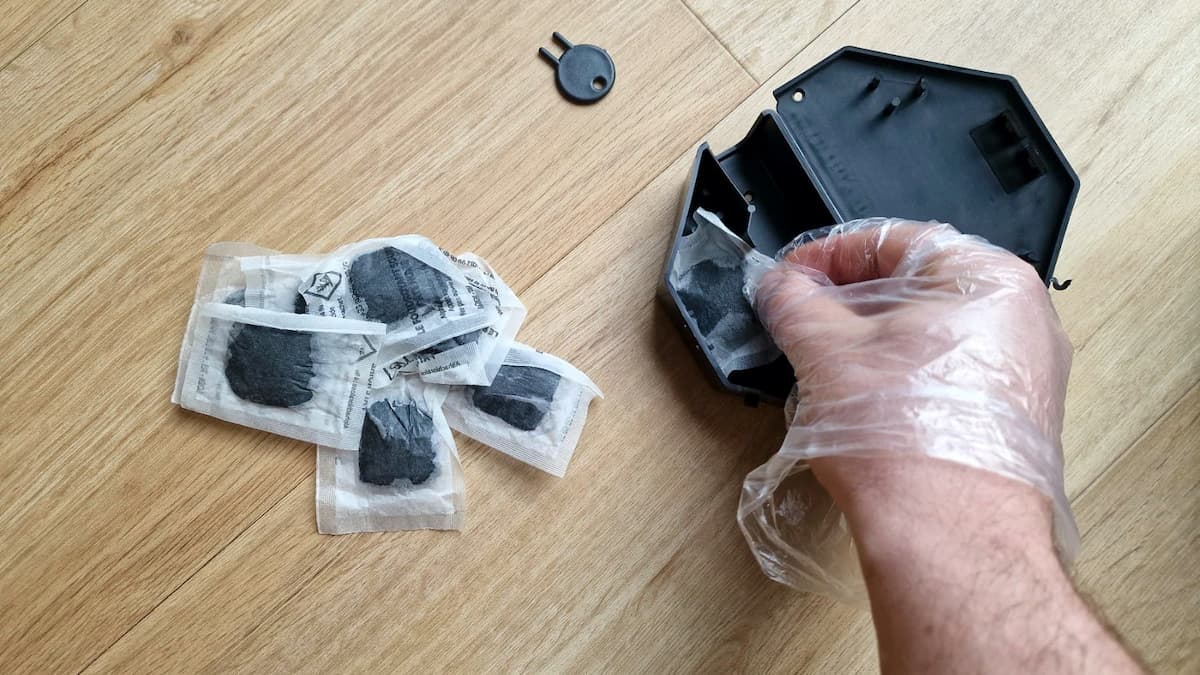 Souricide Black Pearl disposé manuellement dans sa boîte sécurisée