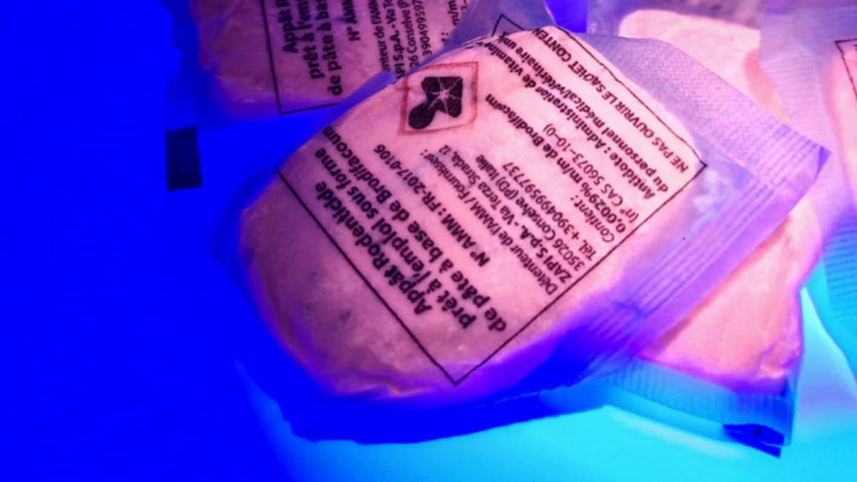 Appât raticide et souricide phosphorescent