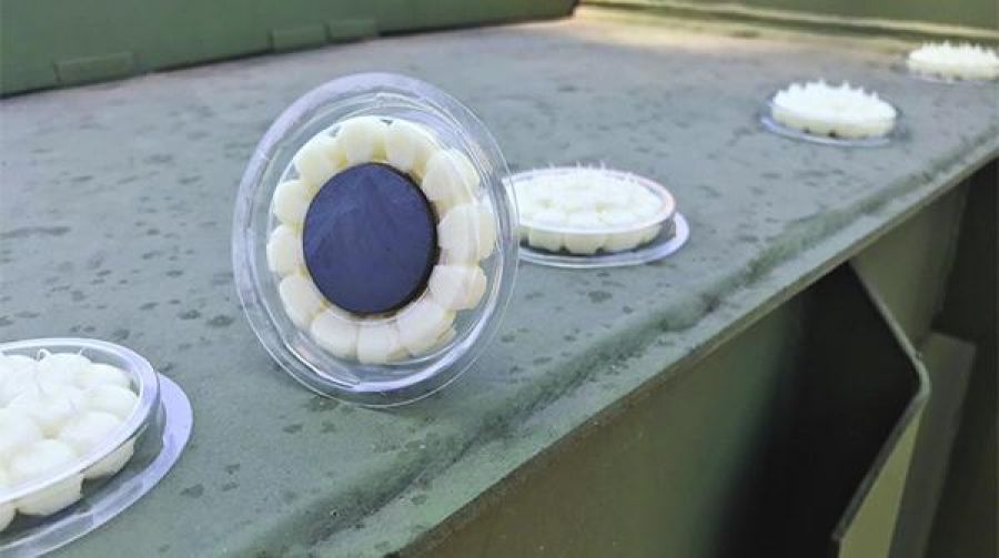 Protéger vos rebords de fenêtres en toutes discrétion grâce aux coupelles de gel  anti-pigeons