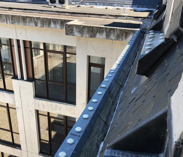 Coupelles de gel d’éloignement positionnées sur une gouttière