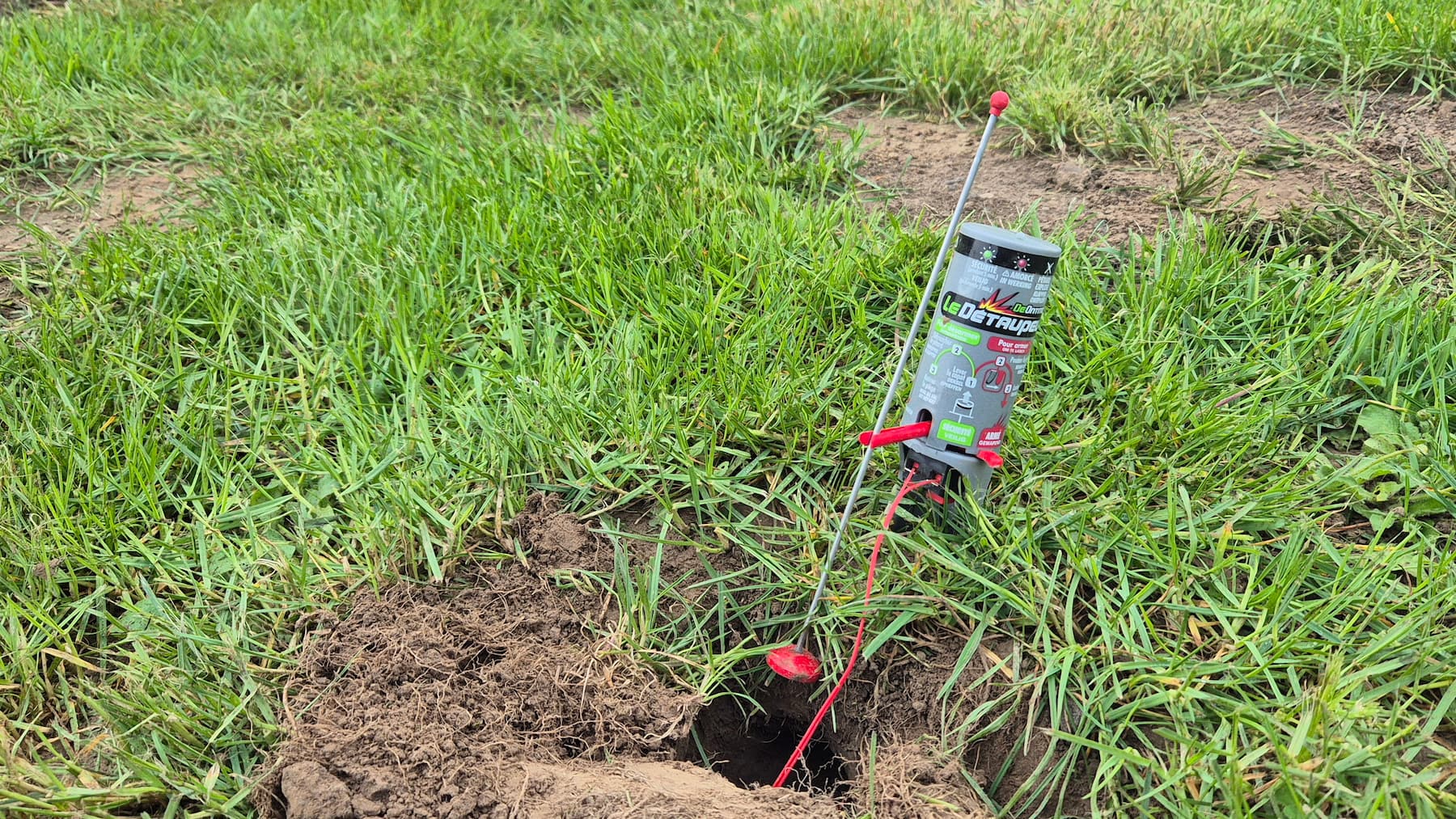 Piège à taupe Détaupeur en place