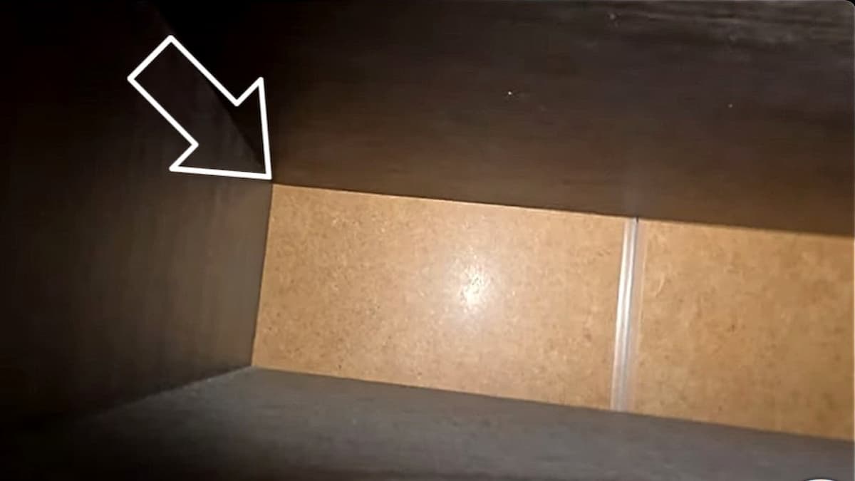 Punaise de lit cachée dans le coin d'un meuble