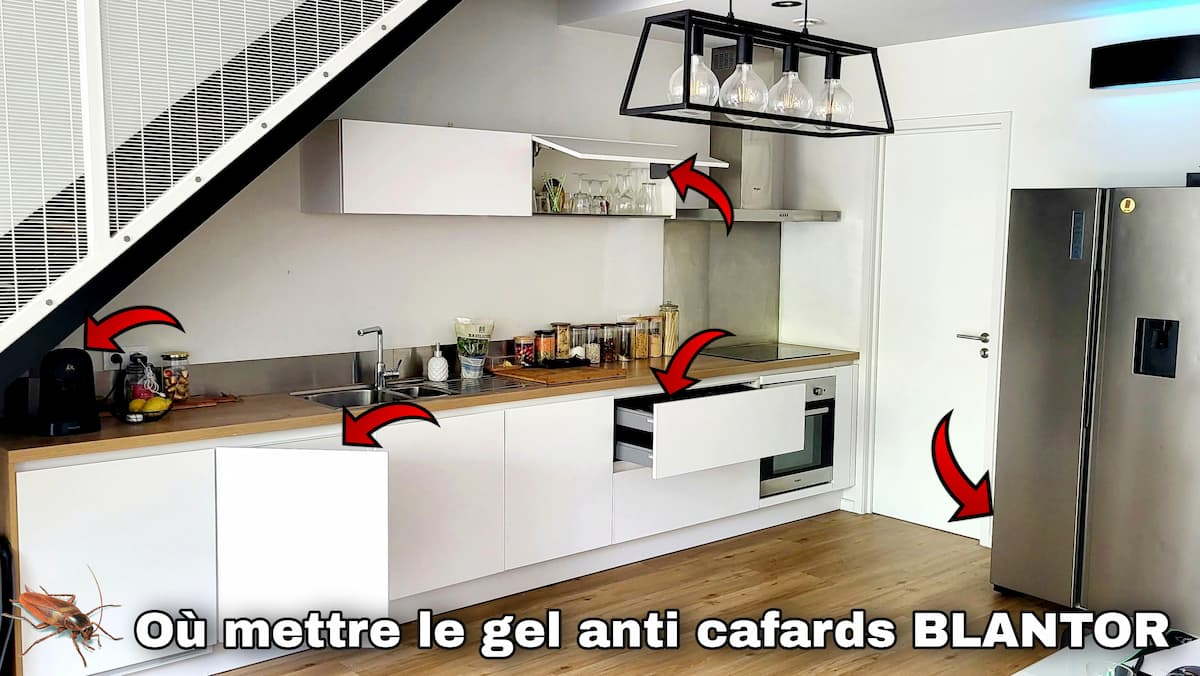 Photo désignant les emplacements privilégiés pour déposer du gel anti cafard
