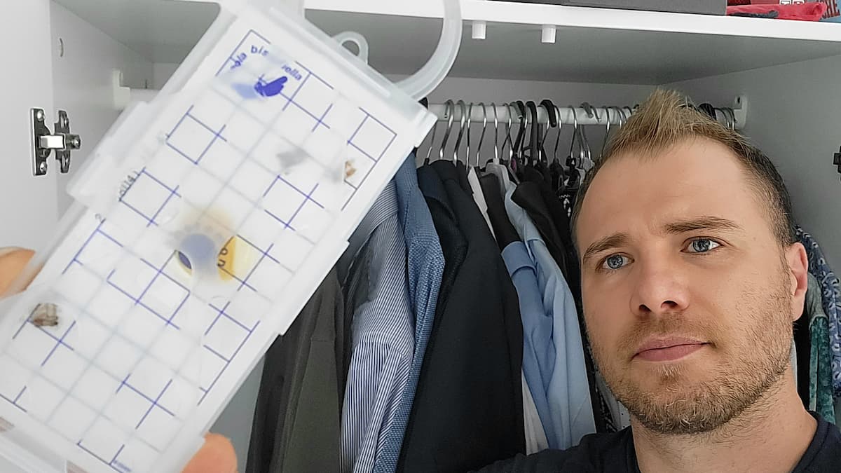 3 mites vêtement piégées par le piège à phéromone PYRO NET