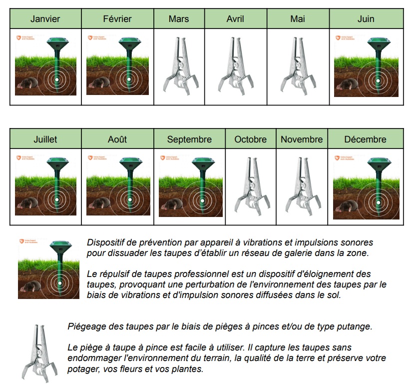 calendrier-saison-piegeage-taupe